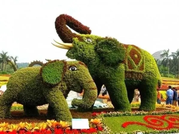 1681042038916691.jpg u=1133427425,3702925124&fm=253&fmt=auto&app=138&f=JPEG.webp.jpg