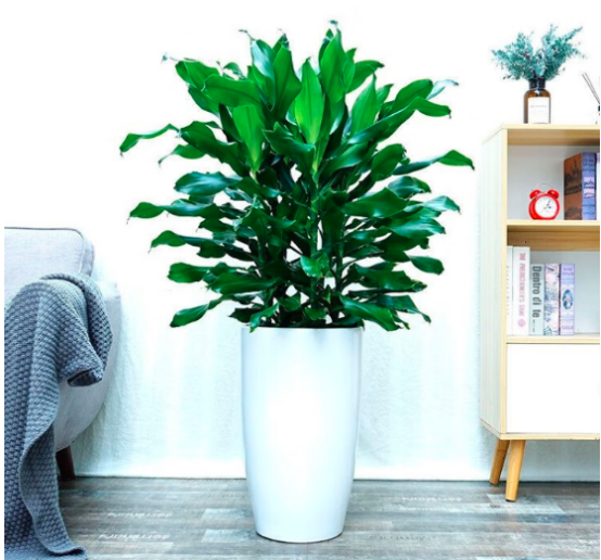 1707212818136689.png image.png