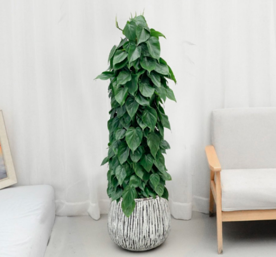 1707212942192091.png image.png