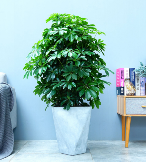 1707213043122183.png image.png