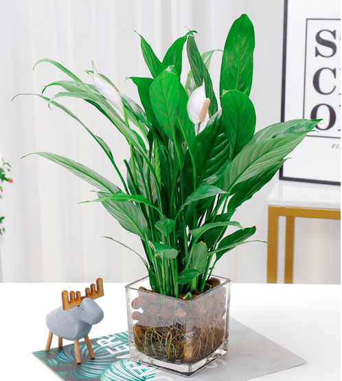 1707212850184805.png image.png