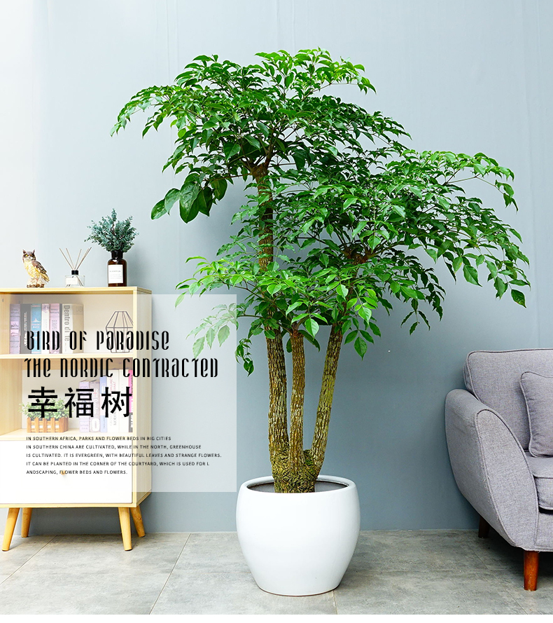 1707213134128112.png image.png